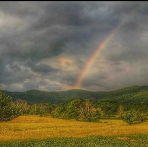 NEW ITEMS COMING SOON